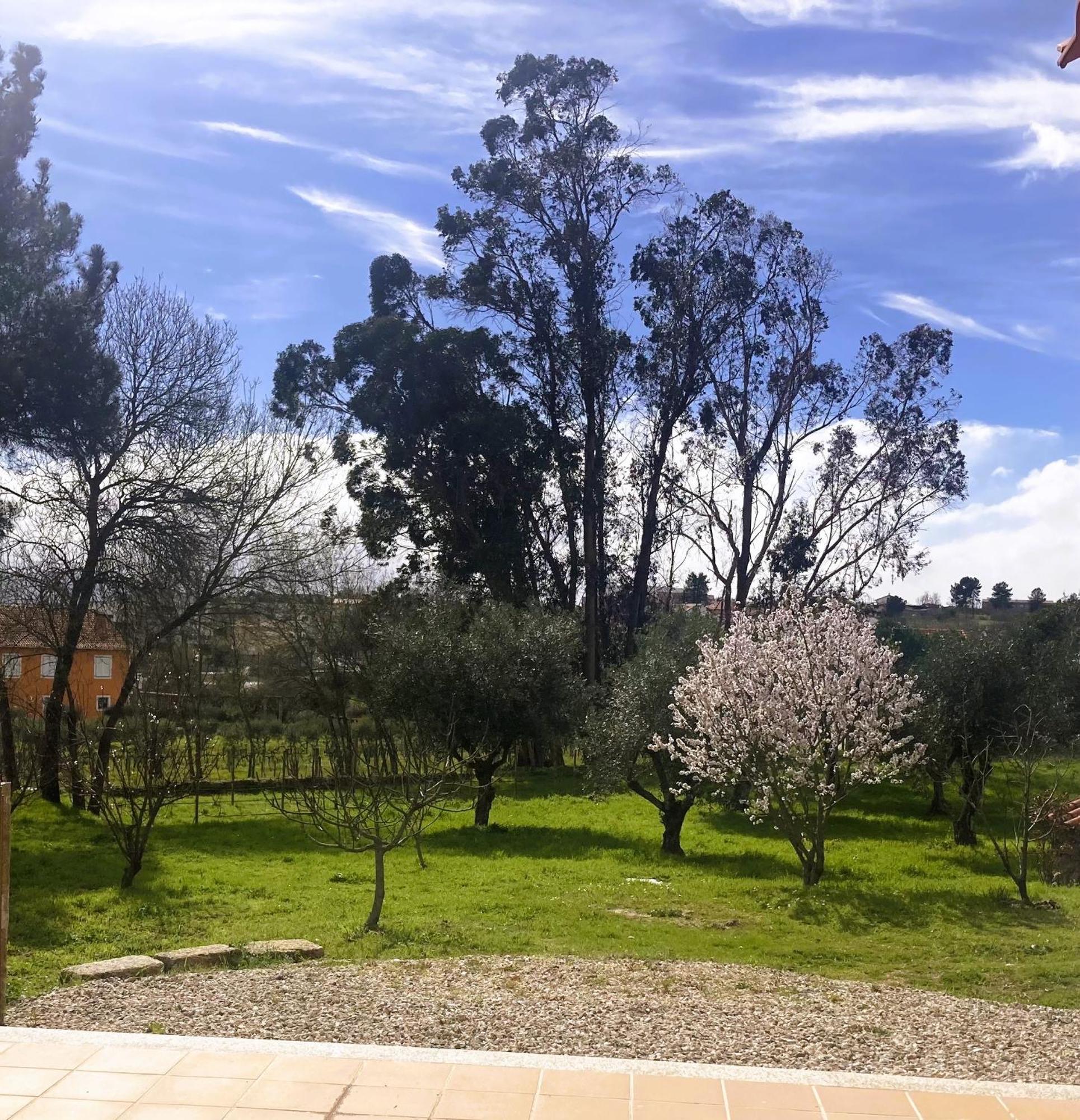 Ar Da Beira Villa Belmonte  Kültér fotó