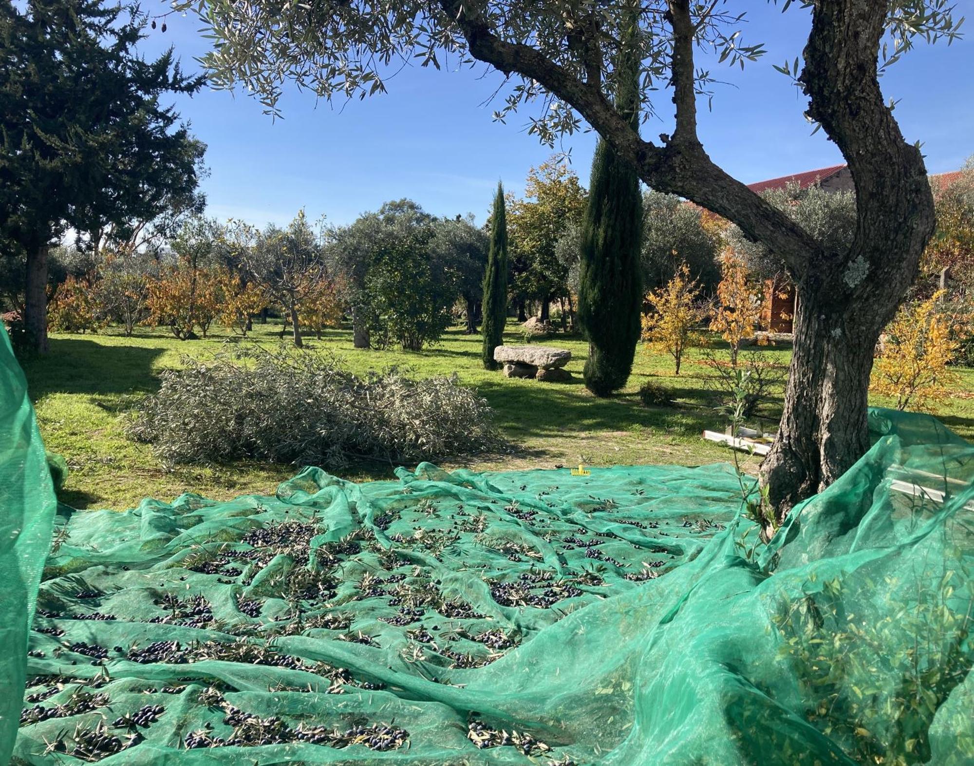 Ar Da Beira Villa Belmonte  Kültér fotó