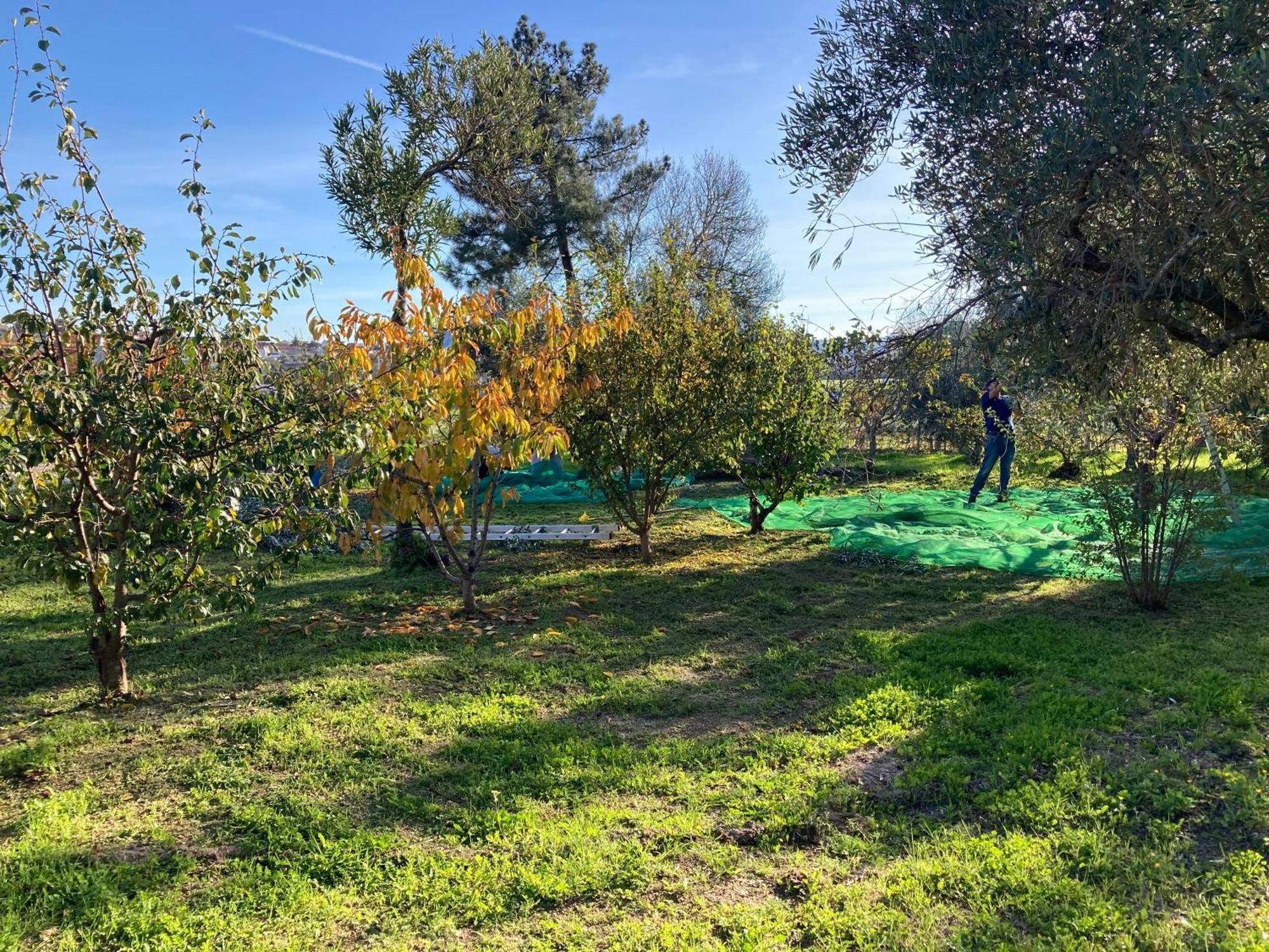 Ar Da Beira Villa Belmonte  Kültér fotó